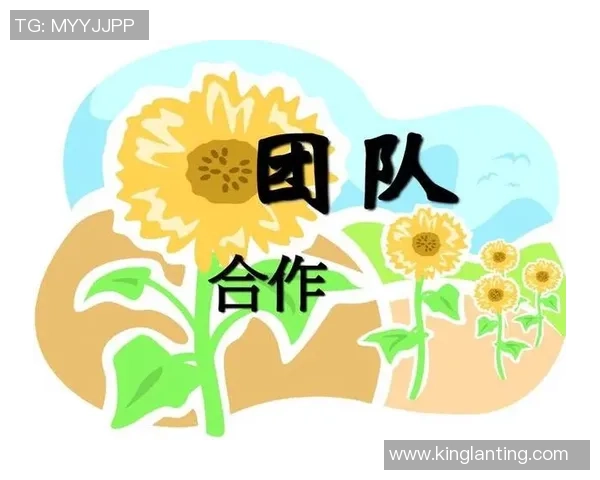 北京乒乓球队在邀请赛中的团队协作表现分析与点评