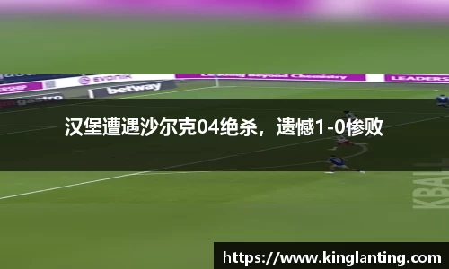 汉堡遭遇沙尔克04绝杀，遗憾1-0惨败