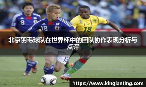 雷火亚洲电竞平台